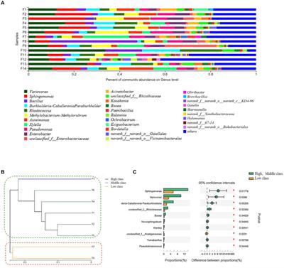 Application of starch degrading bacteria from tobacco leaves in improving the flavor of flue-cured tobacco